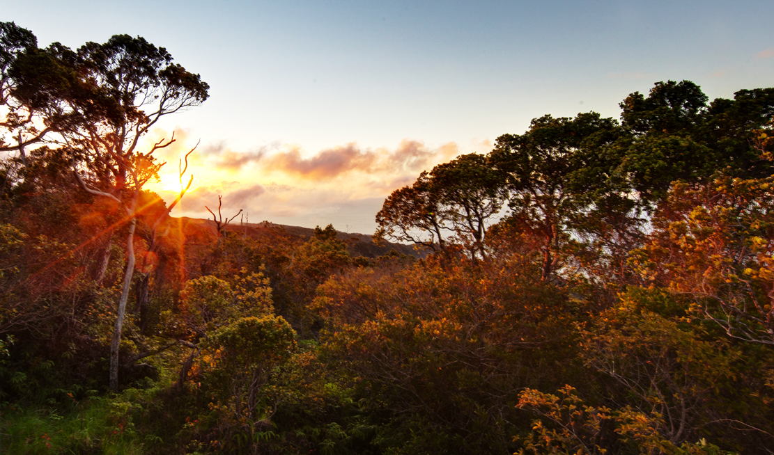 Kauai Sunset Sunstar